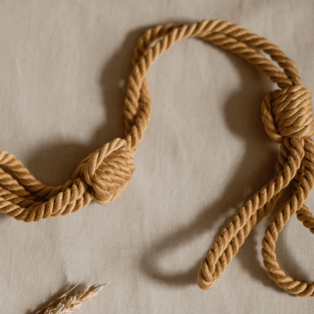 Kanuka: Sensory Restraints - The Coach Shop