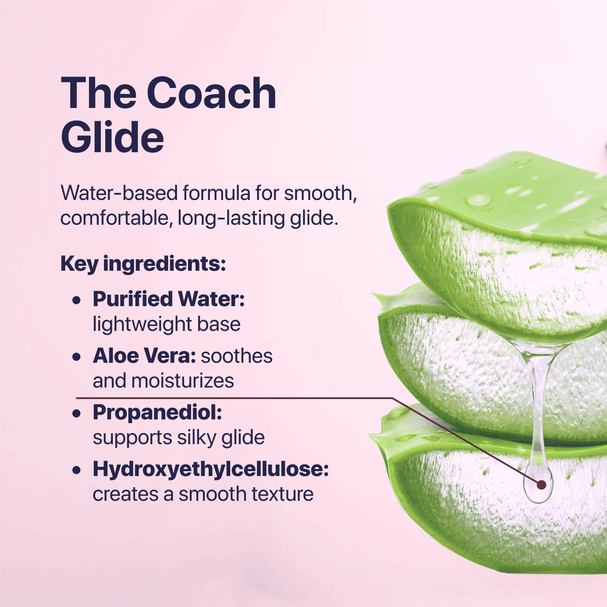 The Intimacy Reset Bundle - The Coach Shop
